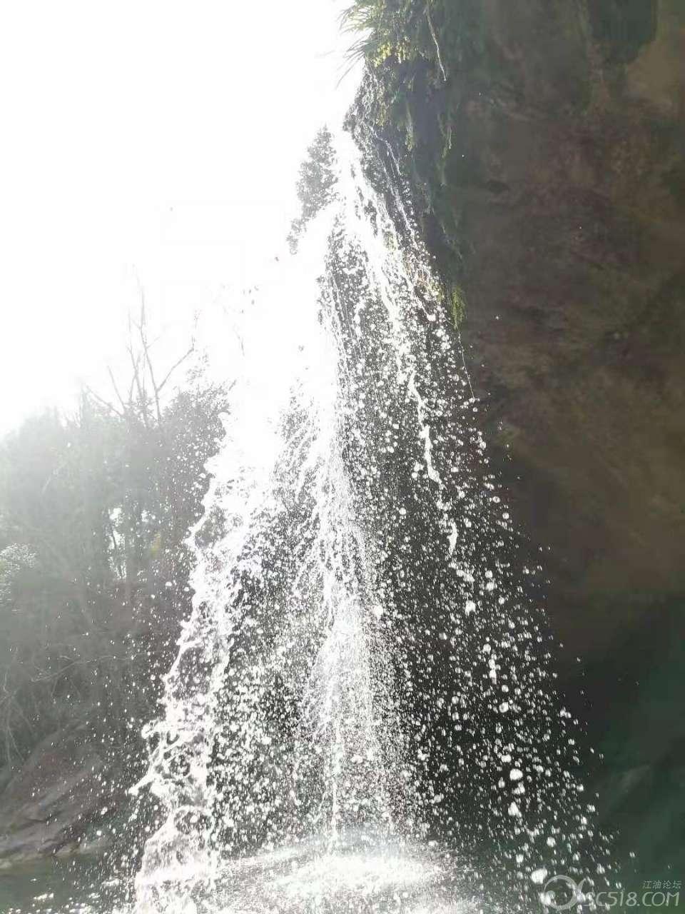 机智问答网页驾驶证到期后多少时间内必须换证?助你聪明答题
